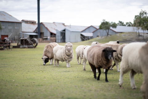 14 Day Gems Of The Outback - Timeshare Accommodation 2