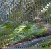 Anabranch Loop Track - Timeshare Accommodation