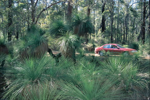 Blackwood River Tourist Drive - Timeshare Accommodation 2