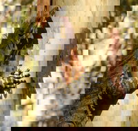 Blue Gum Hills Regional Park - Timeshare Accommodation