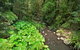 Brindle Creek Picnic Area - thumb 0