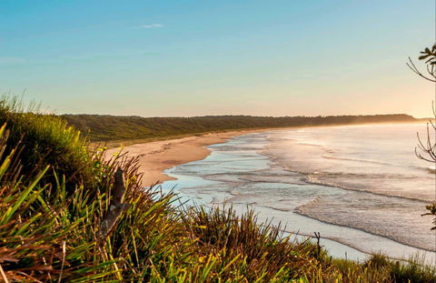 Burrawang Track - Conjola Beach To Buckleys Point - Timeshare Accommodation 0