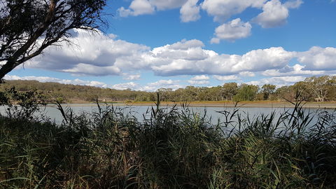 Lake Inverell Reserve - Timeshare Accommodation 1