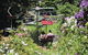 Launceston Gorge Scenic Chairlift - thumb 0