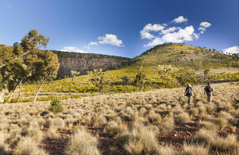 Little Mountain Walking Track - Timeshare Accommodation 0