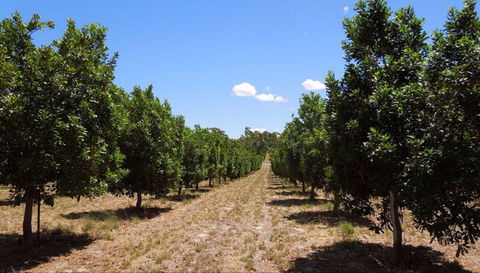MacNuts WA Shop And Factory - Timeshare Accommodation 0