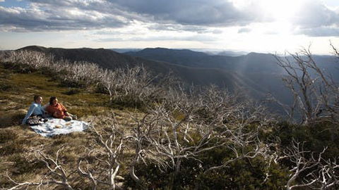 Mount Hotham - Timeshare Accommodation 2