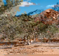 Old Coach Road Drive - Timeshare Accommodation