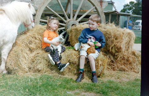 Rain Hayne And Shine Farmyard - Timeshare Accommodation 0