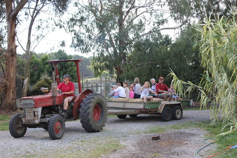 Rain Hayne And Shine Farmyard - Timeshare Accommodation 1