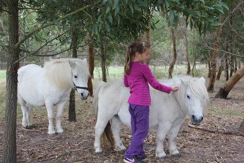 Rain Hayne And Shine Farmyard - Timeshare Accommodation 2