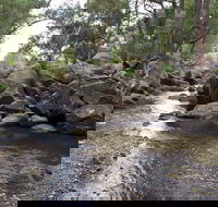 Threlfall Walking Track - Timeshare Accommodation