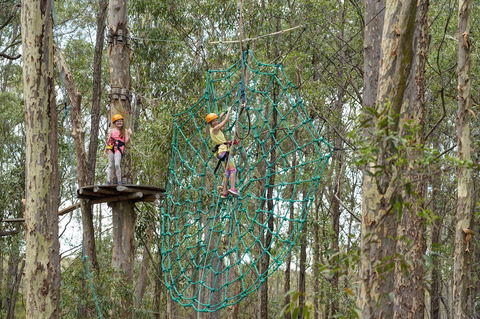 TreeTops Newcastle - Timeshare Accommodation 0