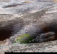 Blowhole and the Rocks - Timeshare Accommodation