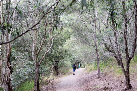 D'Aguilar National Park - Timeshare Accommodation 2