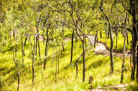 Davies Creek Mountain Bike Park - Timeshare Accommodation 0