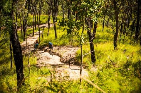 Davies Creek Mountain Bike Park - Timeshare Accommodation 2