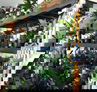 Fancy Plants - Timeshare Accommodation