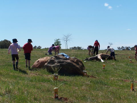 Jim Salmon  Wetland Education Site - Timeshare Accommodation 0