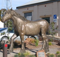 Maitland