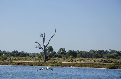 Mandurah Estuary And Peel Inlet - Timeshare Accommodation 1