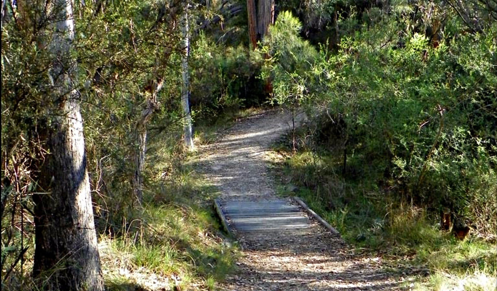 Dangarsleigh NSW Timeshare Accommodation