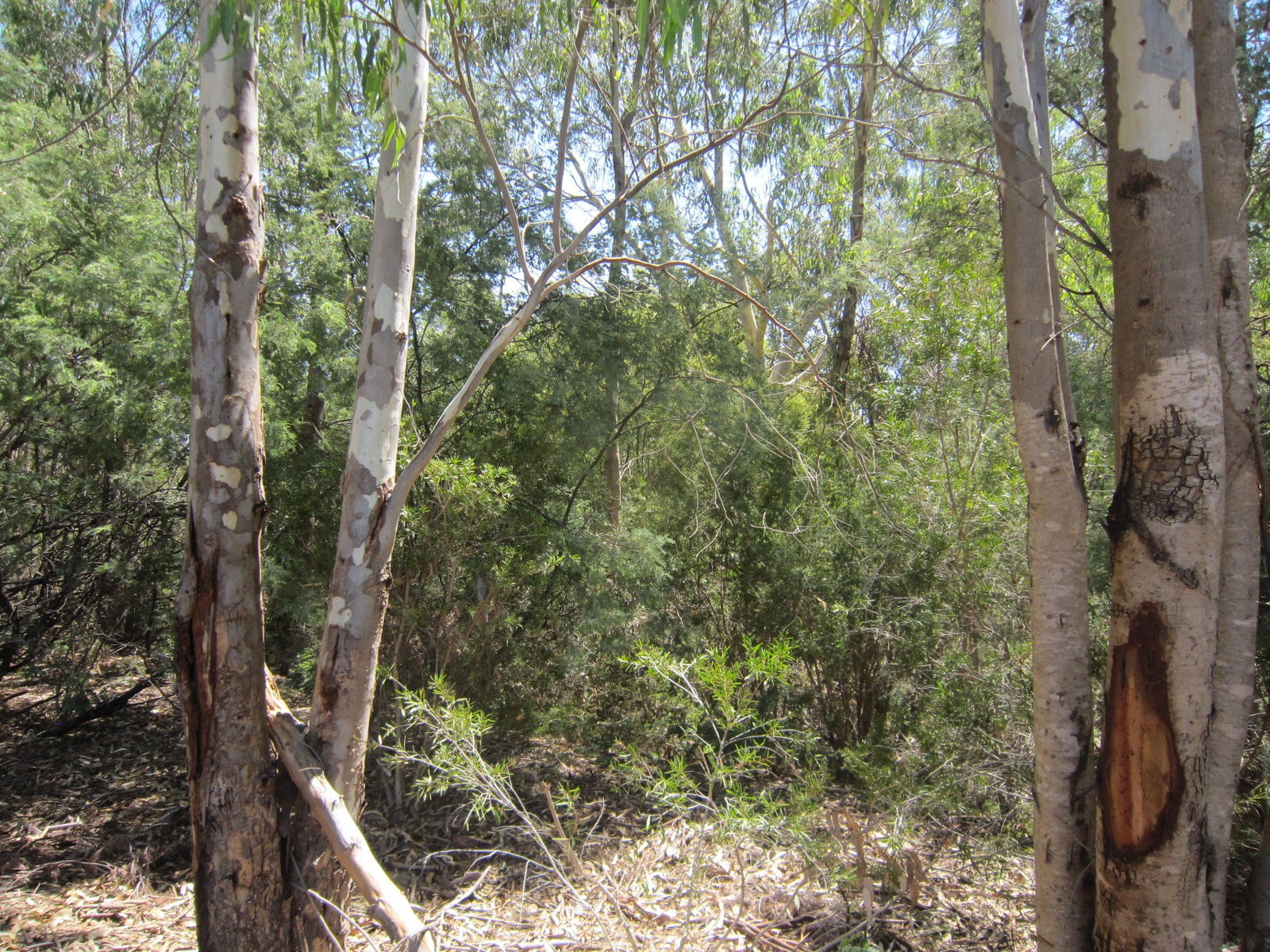Wangaratta VIC Timeshare Accommodation