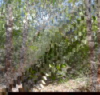 One Mile Creek shared path - Timeshare Accommodation