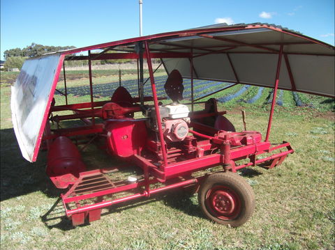The Super Strawberry - Timeshare Accommodation 2