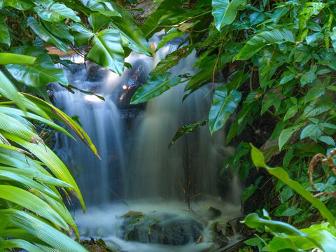 Brisbane Botanic Gardens Mount Coot-tha - Timeshare Accommodation 1