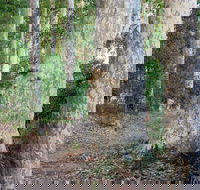 Delta Track - Timeshare Accommodation