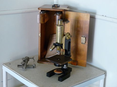 Dr Arratta Museum - Timeshare Accommodation 1