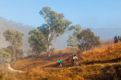 Kambah Pool To Pine Island Walking Trail - Timeshare Accommodation 0