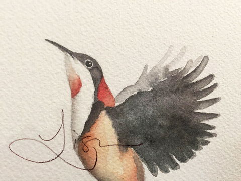 Pebbles And Pods - Timeshare Accommodation 0