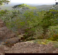 Pigeon House Mountain Didthul Walking Track - Timeshare Accommodation
