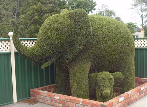 Railton: Town Of Topiary - Timeshare Accommodation 0