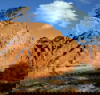 Red Banks Conservation Park