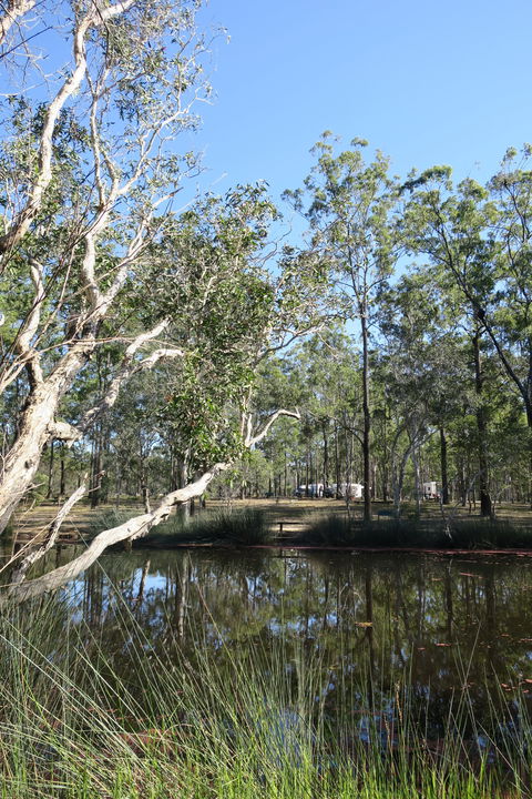 Wongi State Forest - Timeshare Accommodation 0