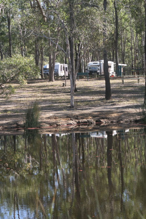 Wongi State Forest - Timeshare Accommodation 1