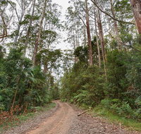 End Peak walking track - Timeshare Accommodation