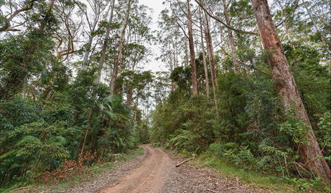 End Peak Walking Track - Timeshare Accommodation 0