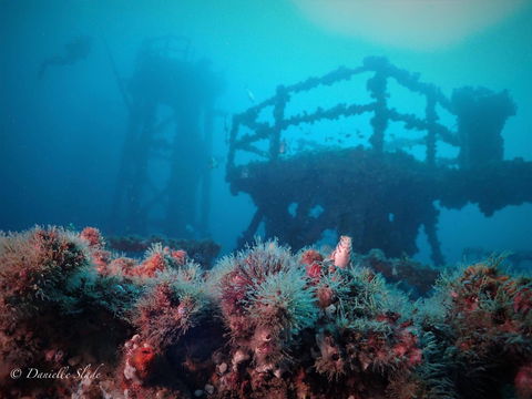 Ex HMAS Adelaide - Timeshare Accommodation 0