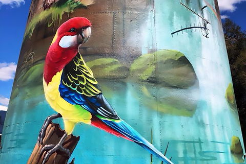 Lockhart Water Tower Mural - Timeshare Accommodation 1