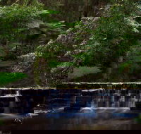 Millards Creek Walk and Cycleway - Timeshare Accommodation