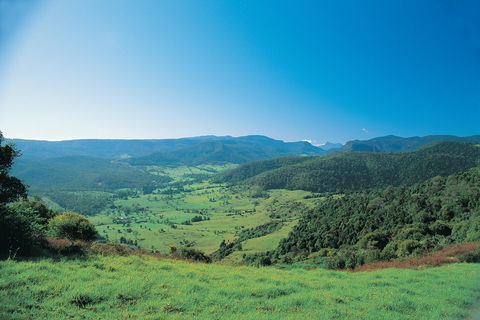 Numinbah Section, Springbrook National Park - Timeshare Accommodation 0