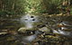 Plateau Circuit Loop Trail - thumb 0