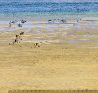 Towra Beach - Timeshare Accommodation
