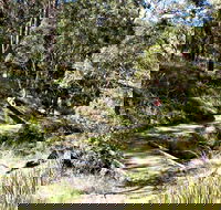 Wollomombi Walking Track - Timeshare Accommodation
