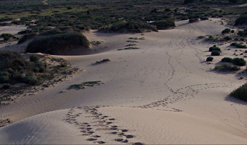 Foreshore Walk, Mungo National Park - Timeshare Accommodation 0