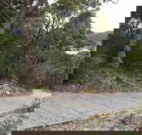 Great North Walk  Ku-ring-gai Chase National Park - Timeshare Accommodation